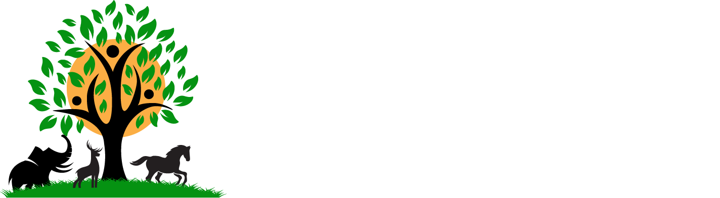 Serengity Logo 2ndry